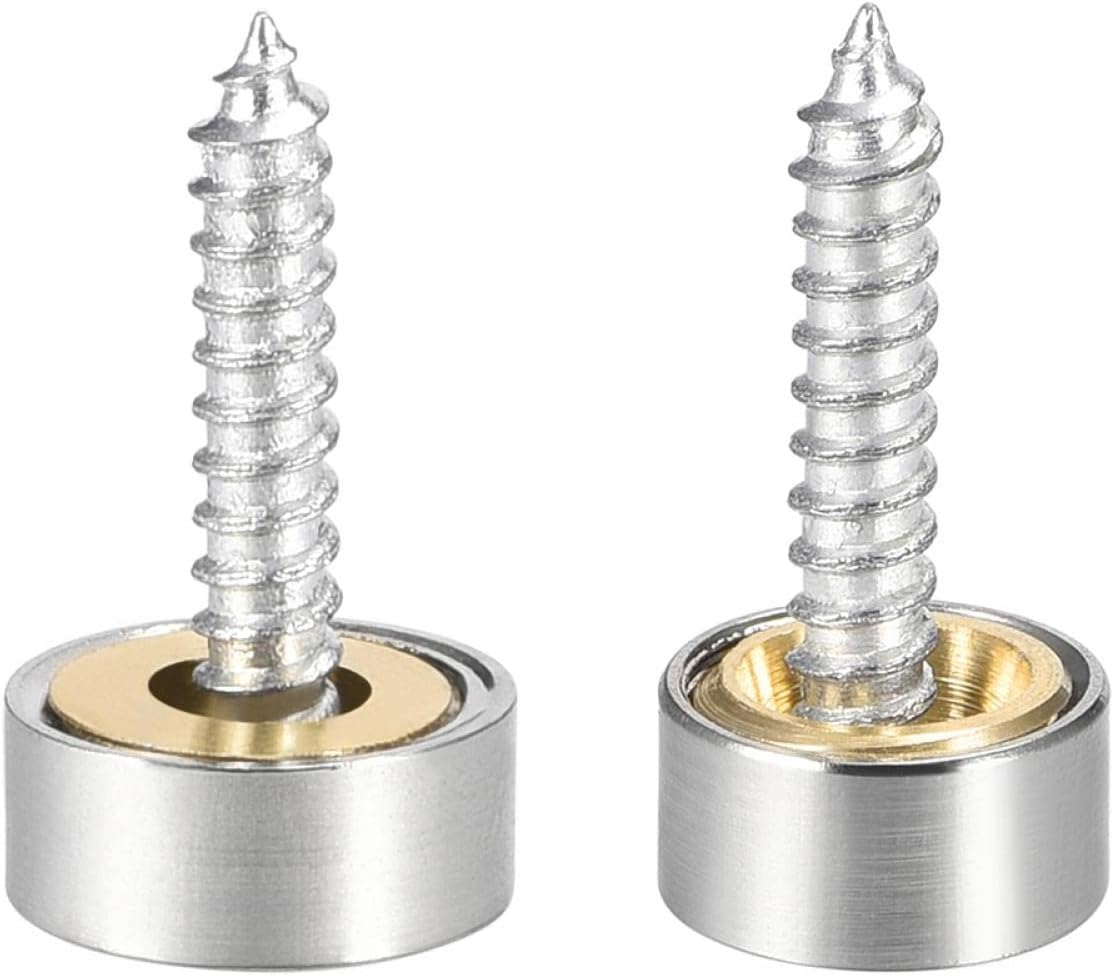 10mm Brushed Stainless Steel Mirror Screws, Decorative Caps Cover Nails 12pcs
