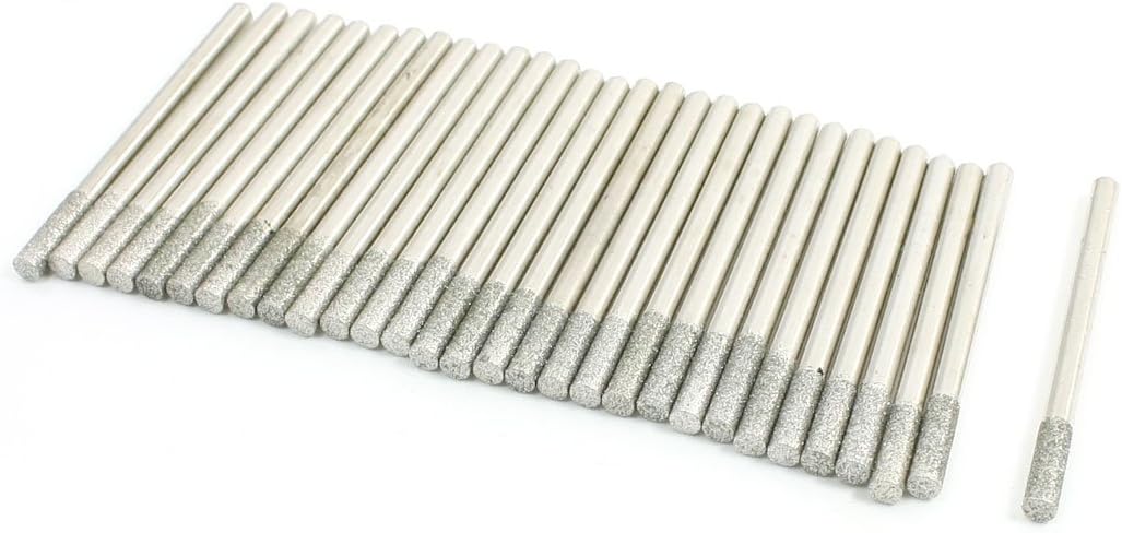 30PCS 3.1mm Tip Dia Diamond Points Grinding Drill Bits w Case