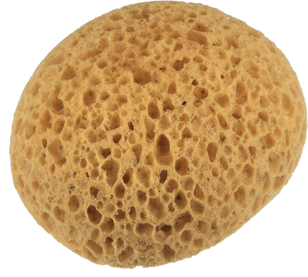 LinkMejor Knockdown Texture Sponge 5.3"x2.6" Faux Sponge Painting Supplies Drywall Patch Wall Ceiling Texturing Yellow 4Pcs