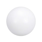 PTFE Ball, 12mm Diameter, Ground Finish, Diaphragm Pneumatic Pump White