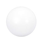 PTFE Ball, 25mm Diameter, Ground Finish, Diaphragm Pneumatic Pump White