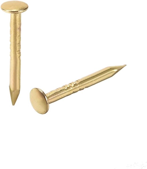 Small Tiny Hardware Nails Iron 1X10mm(DXL) for DIY Decorative Wooden Boxes Accessories Gold Tone 200pcs
