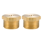 Brass Pipe Hose Fitting 1/2 Male to 3/16 Female Thread Tube Adapter Nozzle for Liquid Oil Gas 2pcs