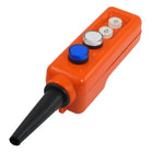 Blue White LED Lamp UP-Down Hoist Hand Operate Pushbutton Switch 110V