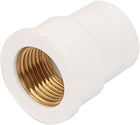 1/2BSP Female Thread PVC Straight Pipe Fitting Coupler Connector