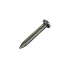 Hardware Nails Carbon Steel Point Tip Wall Cement Nail 20mm(0.8") 3mm Rod Dia Silver Tone 100pcs