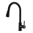 LinkMejor Kitchen Faucet with Pull Down Sprayer
