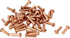 3mm x 10mm Shaft Flat Head Bolts Copper Solid Rivets Fasteners Gold Tone 50 Pcs