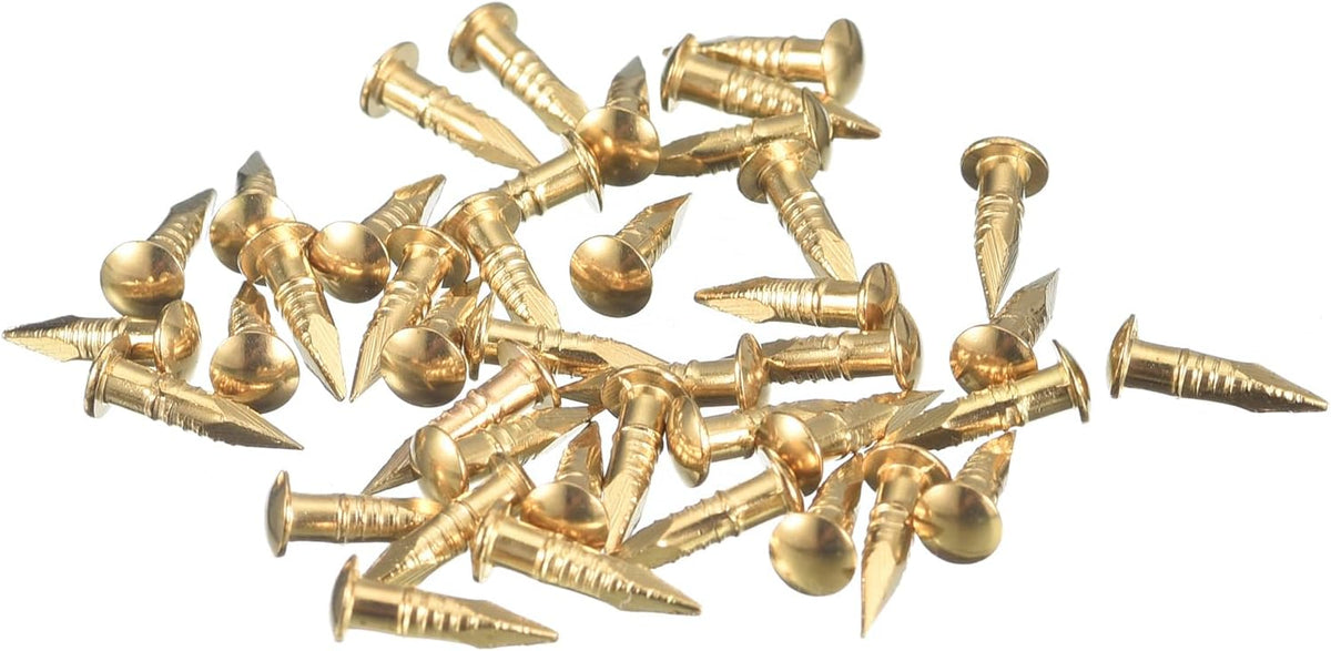 140Pcs Small Tiny Nails 2x10mm(DxL) Tiny Brass Nails Hardware Round Head Brass Nail for Wooden DIY Projects Decorative Boxes Household, Brass Tone