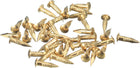 140Pcs Small Tiny Nails 2x10mm(DxL) Tiny Brass Nails Hardware Round Head Brass Nail for Wooden DIY Projects Decorative Boxes Household, Brass Tone