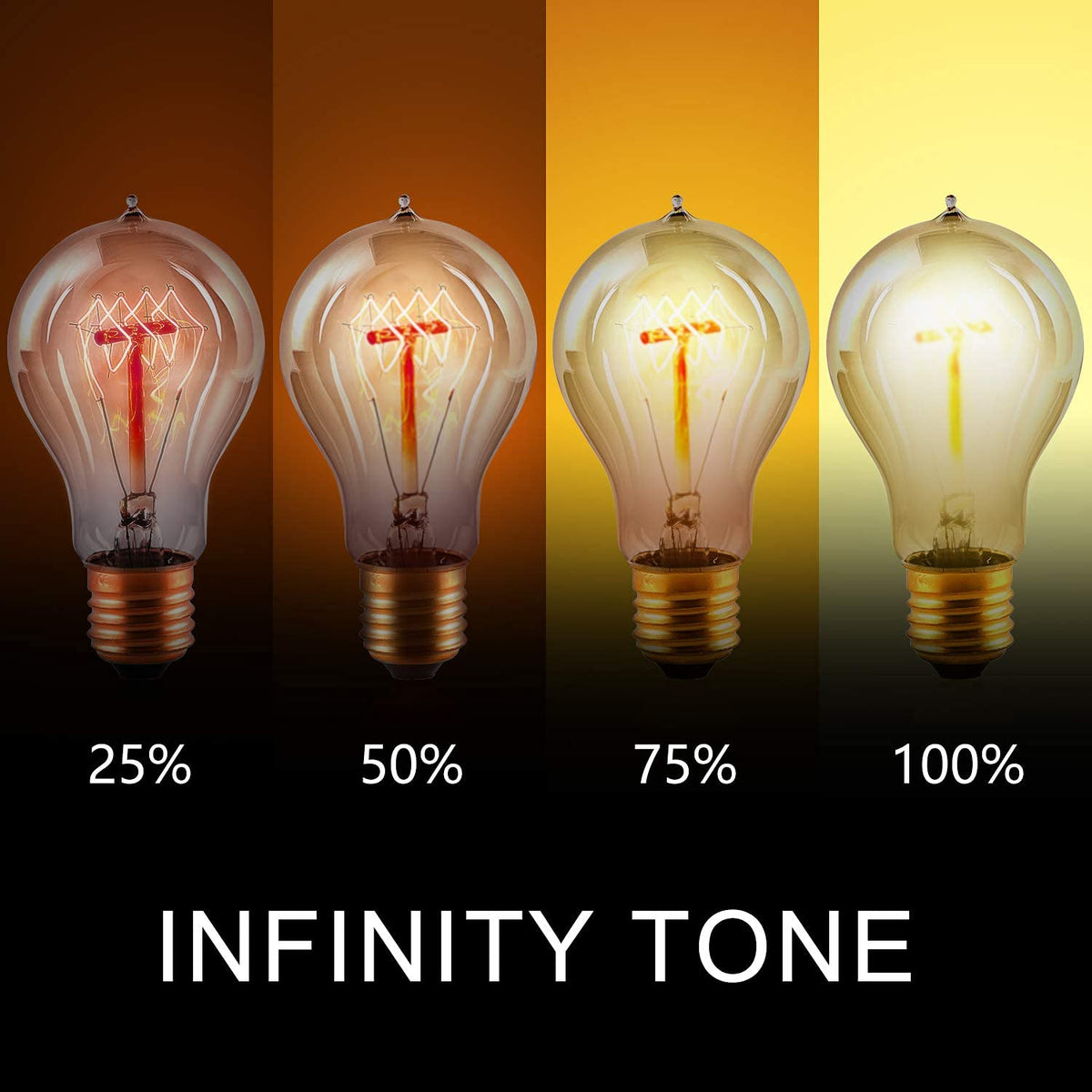 Edison Incandescent Bulb 40W A19 E26 120V 2200K Amber Dimmable 2-Pack