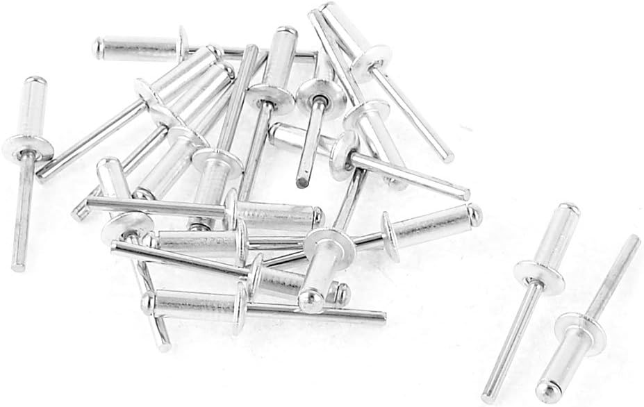 20 Pcs Aluminum 4.5mm Dia Mechanical Lock Type Self-plugging Rivets