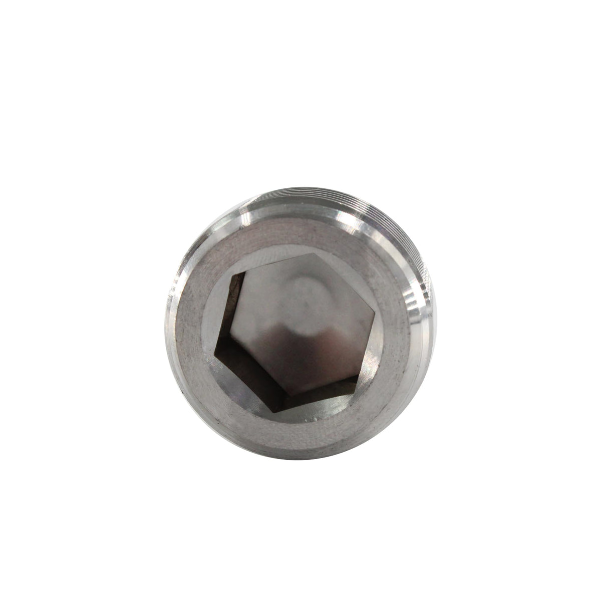 LinkMejor Paslanmaz Çelik Boru Bağlantısı 1/4" NPT Hexagonal Countersunk Erkek Diş Boru Kapak, 6ADET
