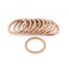 a15010500ux0506-DM Copper Flat Washer Gasket Industrial Fasteners, 16 mm x 20 mm x 1.5 mm Size (Pack of 10)