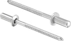 Blind Rivets, 304 Stainless Steel Pull Rivets Core Decoration Rivets 3.2mm Diameter 8mm Grip Length Silver Tone, 100pcs
