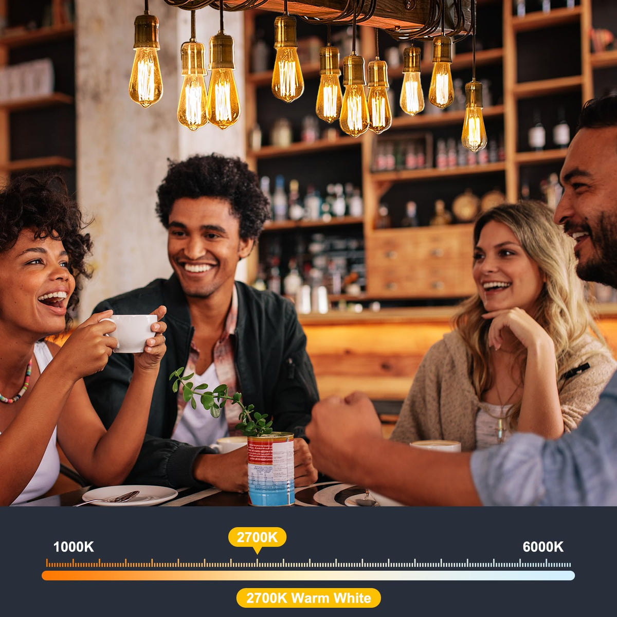 LinkMejor 6Pack Lampadine Edison, Base E26 2700K Bianco Caldo, Non Regolabile