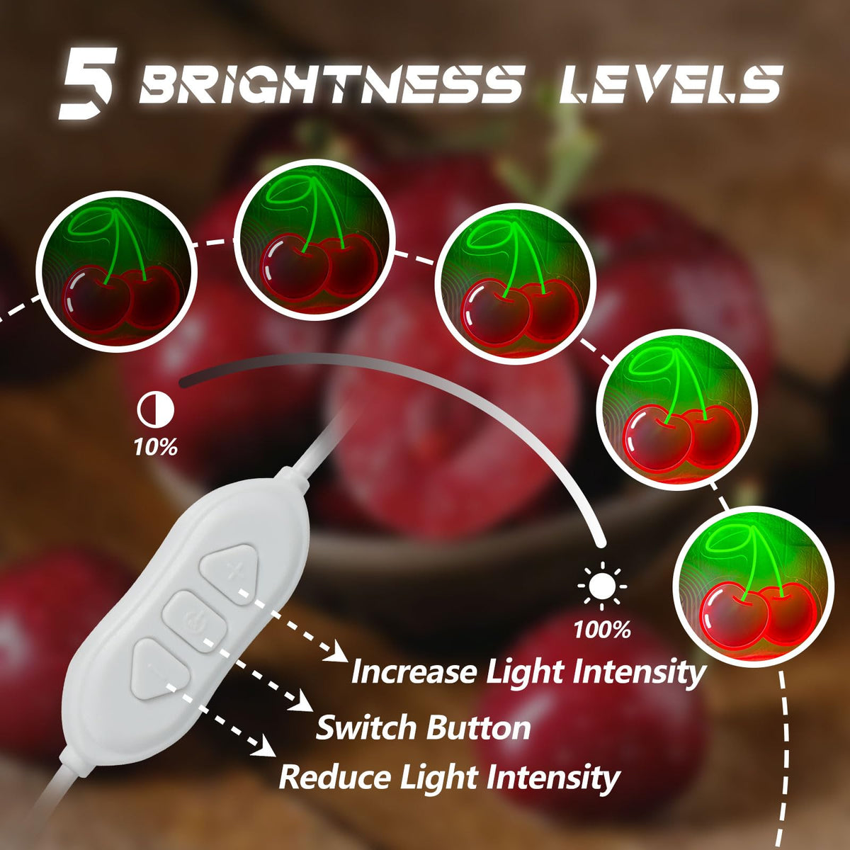 Segnaletta Neon di Ciliegia per Decorazione da Muro, Luci Neon di Ciliegia Stampate Rosse Regolabile