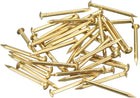 140Pcs Small Tiny Nails 1.5x20mm(DxL) Tiny Brass Nails Hardware Round Head Brass Nail for Wooden DIY Projects Decorative Boxes Household, Brass Tone