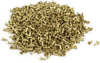 LinkMejor 1000pcs M0.9x2.5mm Brass Plated Metal Hollow Eyelets Rivets Gold Tone