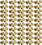 LinkMejor 100pcs M6 x 10mm Brass Plated Metal Hollow Eyelets Rivets Gold Tone