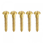 Wood Screws M5 x 30mm Slotted Round Head Brass Self-Tapping Screw 20 Pcs