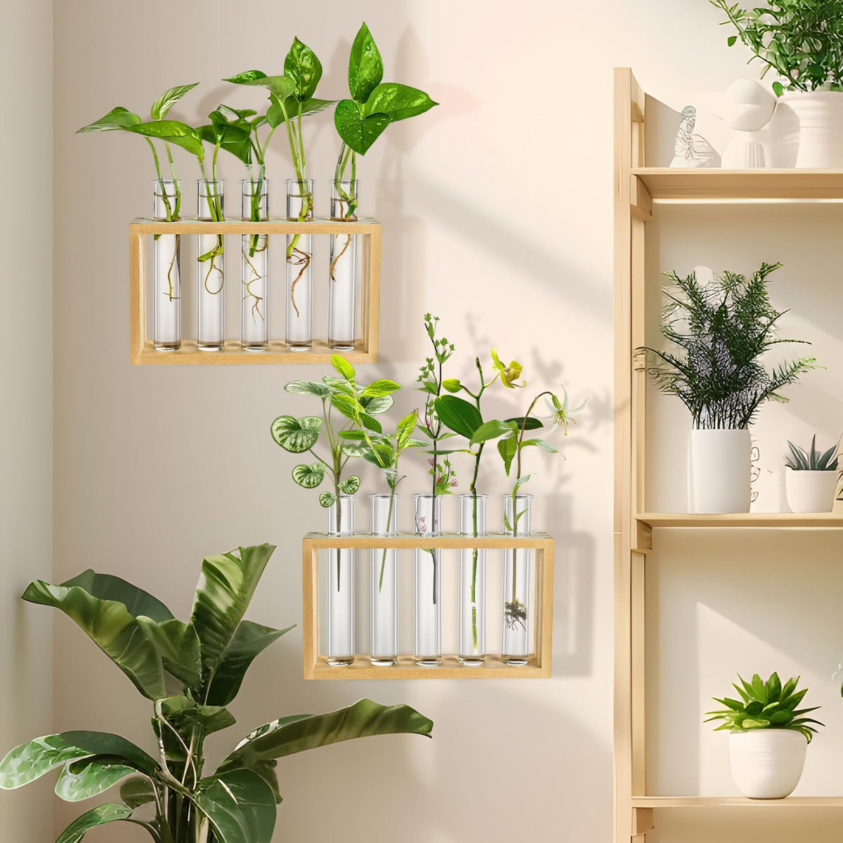 16 Pcs Transparante Plant Propagatietubes 20ml Plastic Test tubes