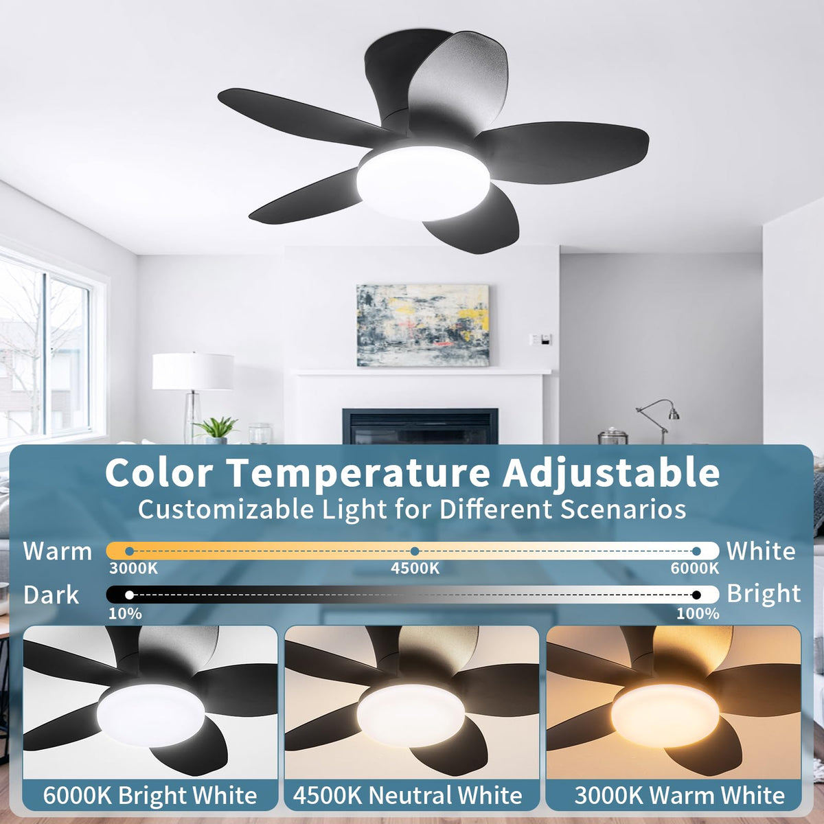 Ventilateur de plafond avec lumière, 25 pouces 5 pâles monté en flush avec télécommande