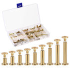 9 Sizes Phillips Screw Post Fit for 3/16"(5mm) Hole Dia, Male M4x5mm Binding Bolts Leather Album Fastener Kit Gold Tone 90 Sets