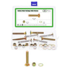 8 Set Carriage Bolts and Nuts Kit, 5/16"-18x2 Carbon Steel Round Head Square Neck Carriage Bolts Screws and Hex Nuts and Flat Washers - Multicolor