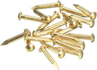 20 Pcs Small Tiny Nails 2.8mmx20mm(DxL) Tiny Brass Nails Hardware Nails Small Nail for Wooden DIY Decorative Boxes Household Accessories, Brass Tone