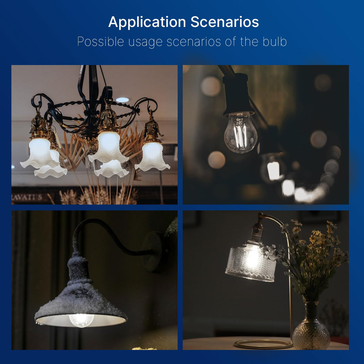 LinkMejor A15 Lampade Edison Regolabili, 60W, 5000K Luce del Giorno, 12 Confezione