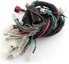 Harnais électrique complet pour moto Ultima System pour GS