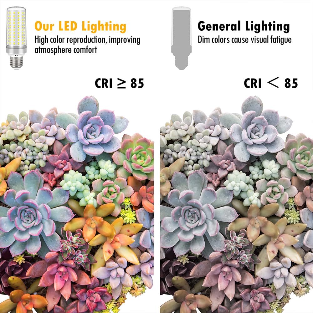 LinkMejor E26 LED-Lampen, 30 Wärmemenge, 250 Wärmemenge, 2 Stück, 6000 K, Tageslichtweiß