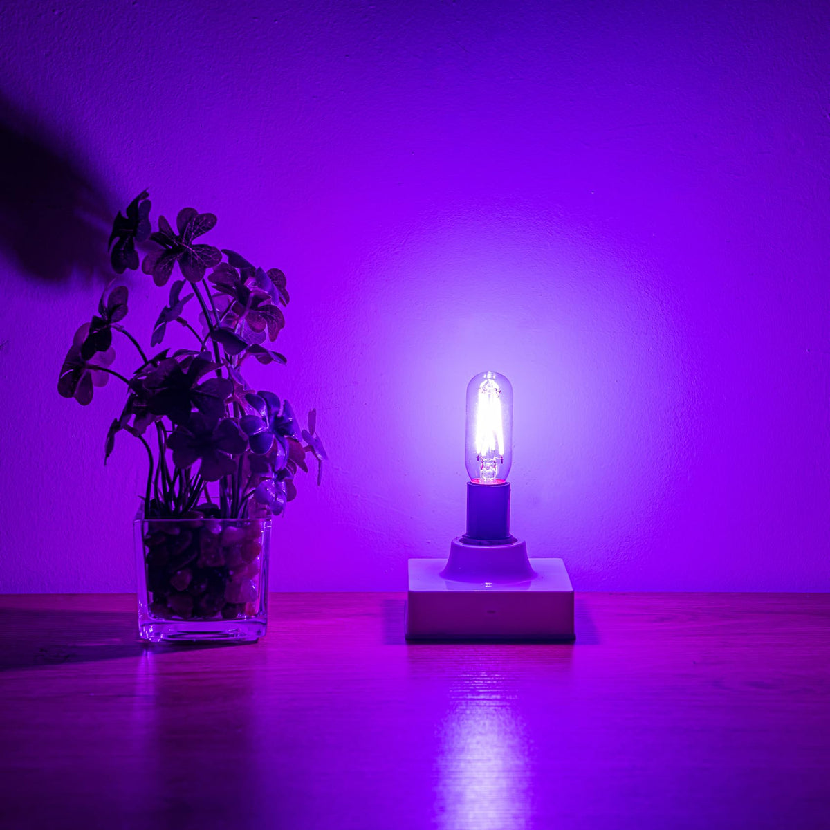링크메이저 파란 캔들라브 라이트볼브 40와트等效 E12 LED 별볼브