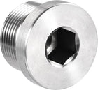 Stainless Steel Inner Hex Head M27x1.5 Pipe Fitting Plug for Terminate Pipe Ends