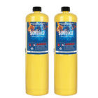 LinkMejor 2 Pack Serbatoi di Propano Pre-riempiti, Serbatoi di Carburante per Torcia Manuale