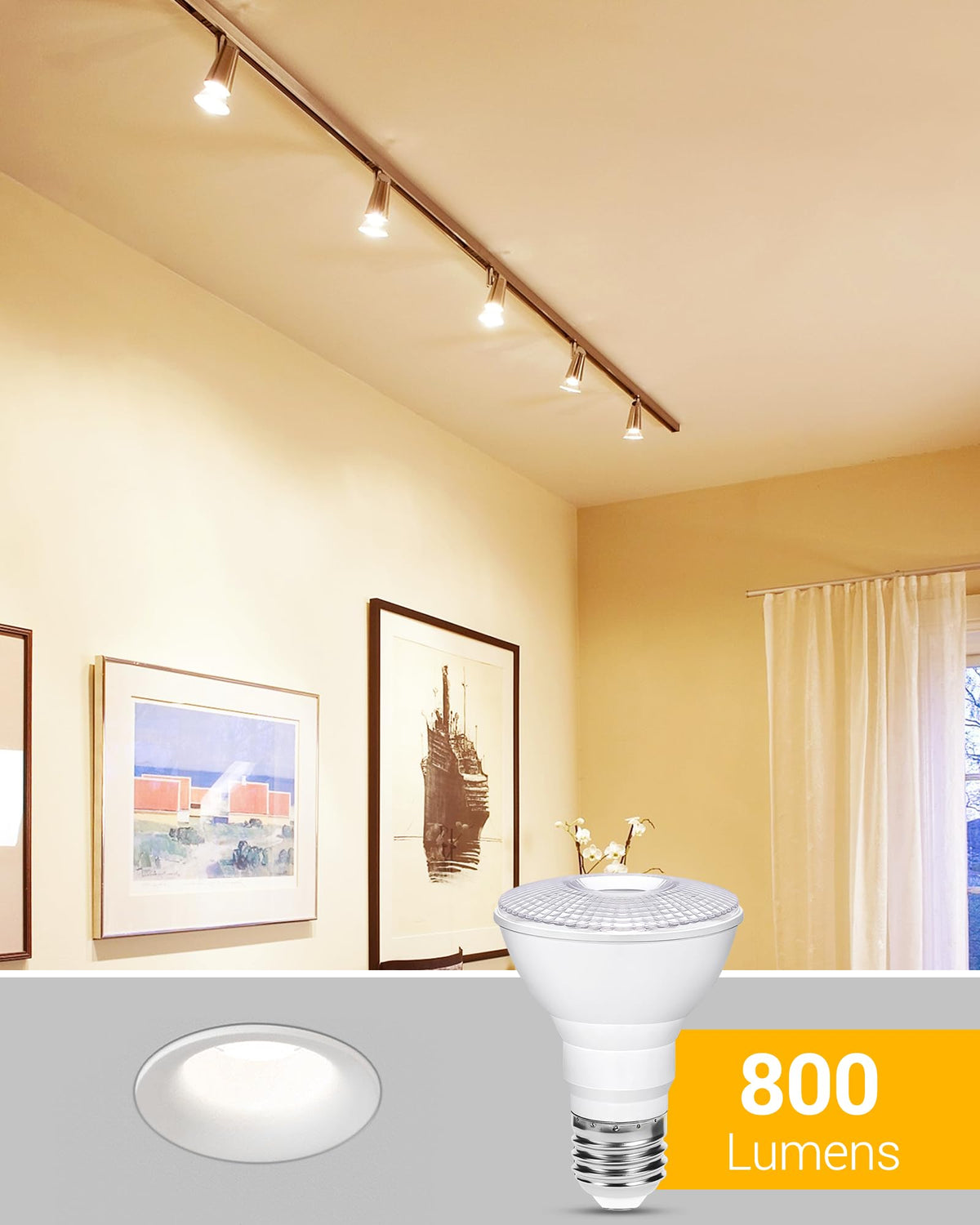 PAR20 조절가능 LED 스포트라이트 볼트 8W (75W 대응) 인도실외 사용