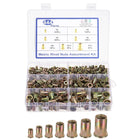 444 Pcs Rivet Nut, Carbon Steel Metric Thread Rivet Nuts Kit Flat Head Threaded Insert Nuts M3/ M4/ M5/ M6/ M8/ M10/ M12 for Automotive, Home Decor and Industrial, Zinc