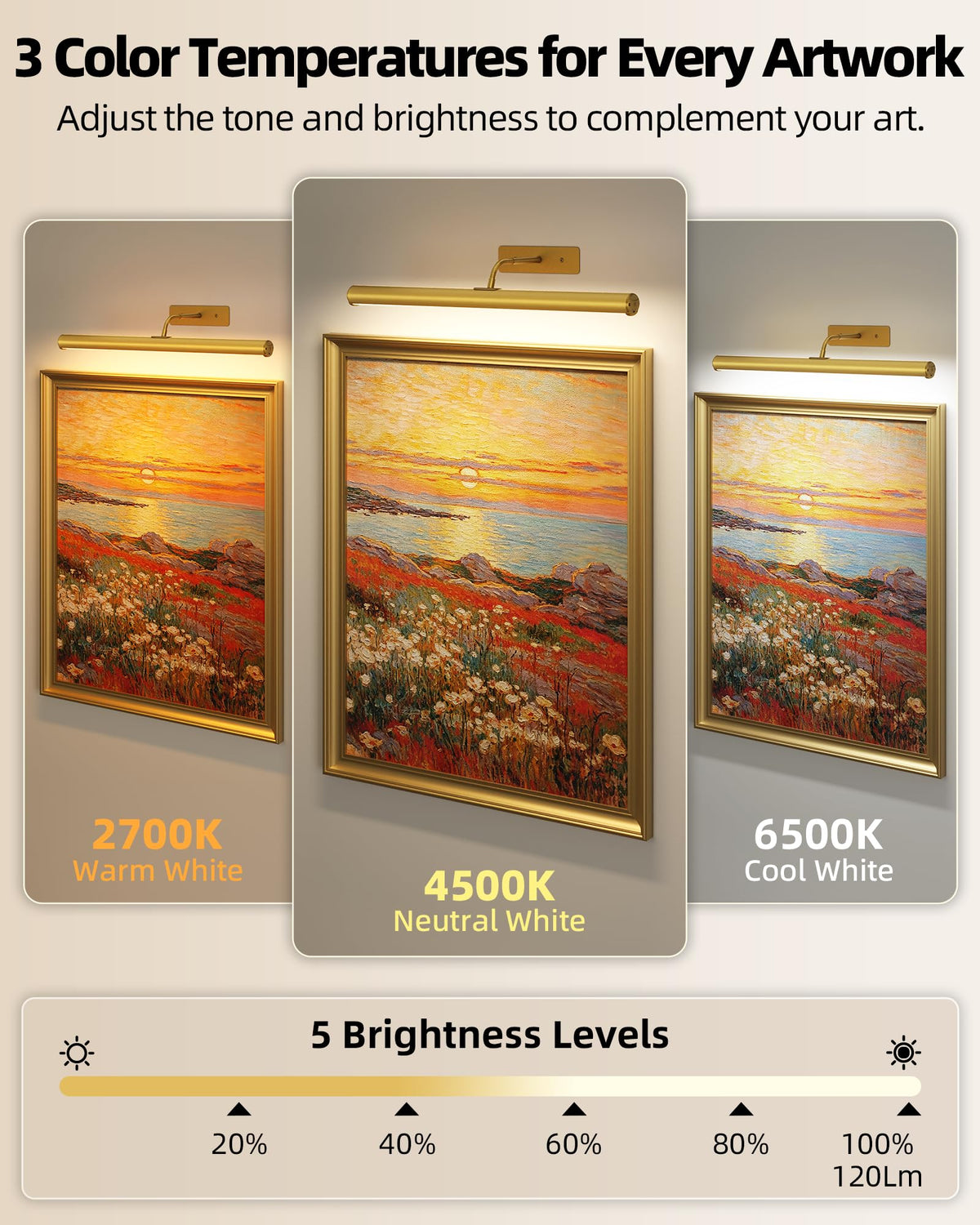 LinkMejor 16-inch Luce Immagine per Muro, Luce d'Arte Ricaricabile