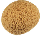 LinkMejor Knockdown Texture Sponge 5.3"x2.6" Faux Sponge Painting Supplies Drywall Patch Wall Ceiling Texturing Yellow 4Pcs