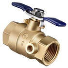 1 Pcs Brass Backflow Ball Valve with Test Port