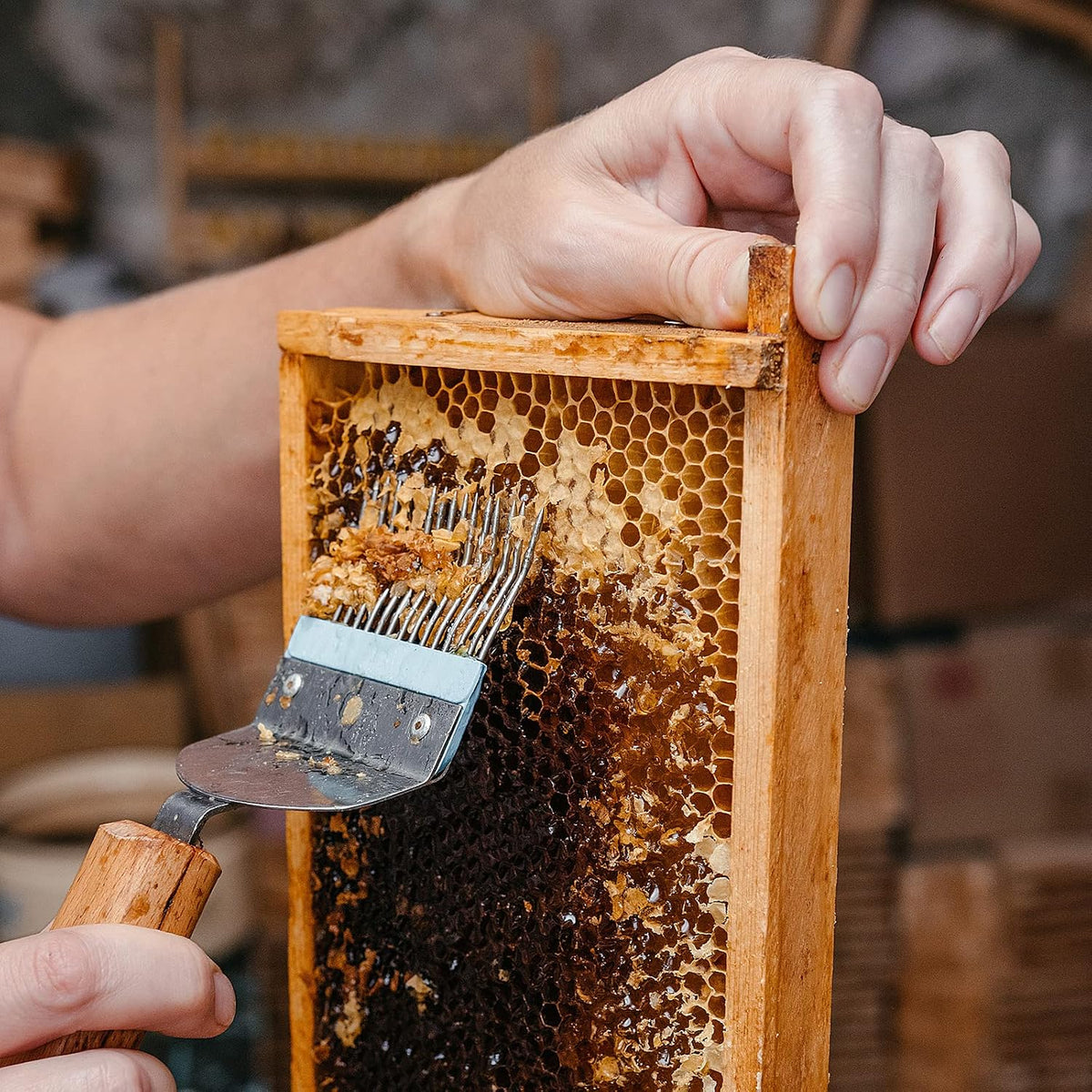 10 Pcs Fondation en Cire pour Cadres d'abeilles, Feuilles de Fondation d'Habitat d'Abeilles, Fondation de Feuille de Miel pour Apiculture Outil Jaune