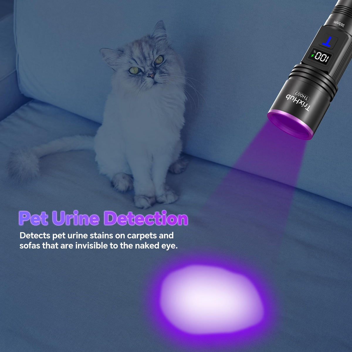 LinkMejor 365nm Flashlight Luce UV Ricaricabile con Display LCD