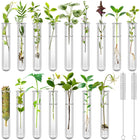16 Pcs Transparante Plant Propagatietubes 20ml Plastic Test tubes