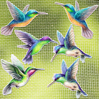 LinkMejor 16 Pcs Screen Door Magnets Double Sided Decals,Hummingbird